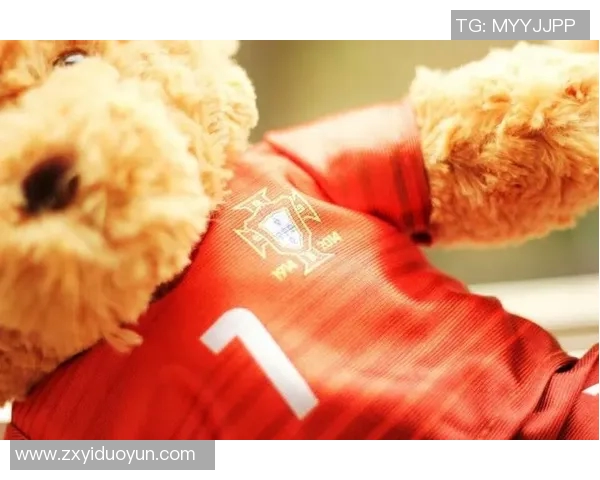 长得像熊的足球明星们的趣味生活与赛场风采揭秘 长得像熊的足球明星们的趣味生活与赛场风采揭秘